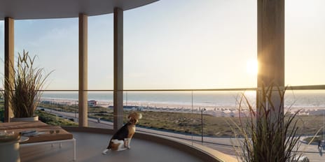 Zeereepstraat thumbnail