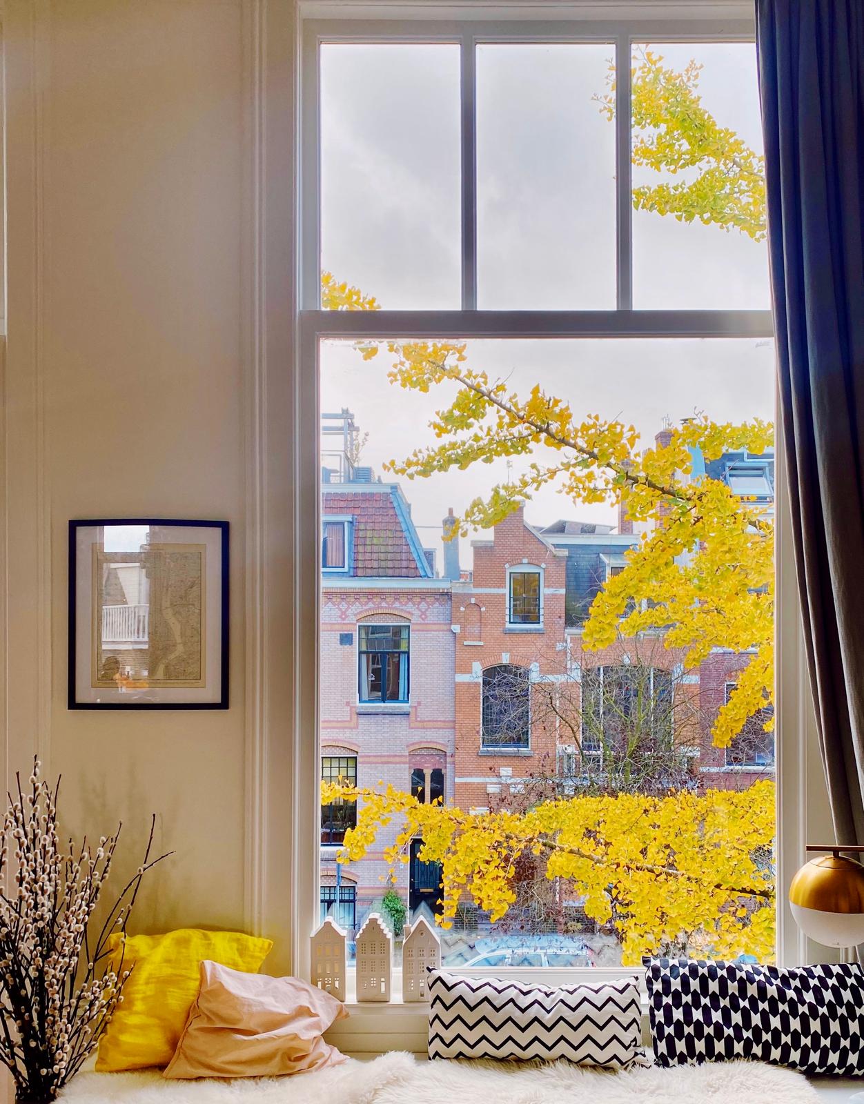 Foto 48 van Bredeweg 41-2