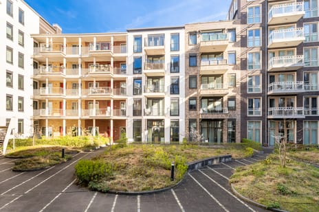 Willem Dudokhof thumbnail