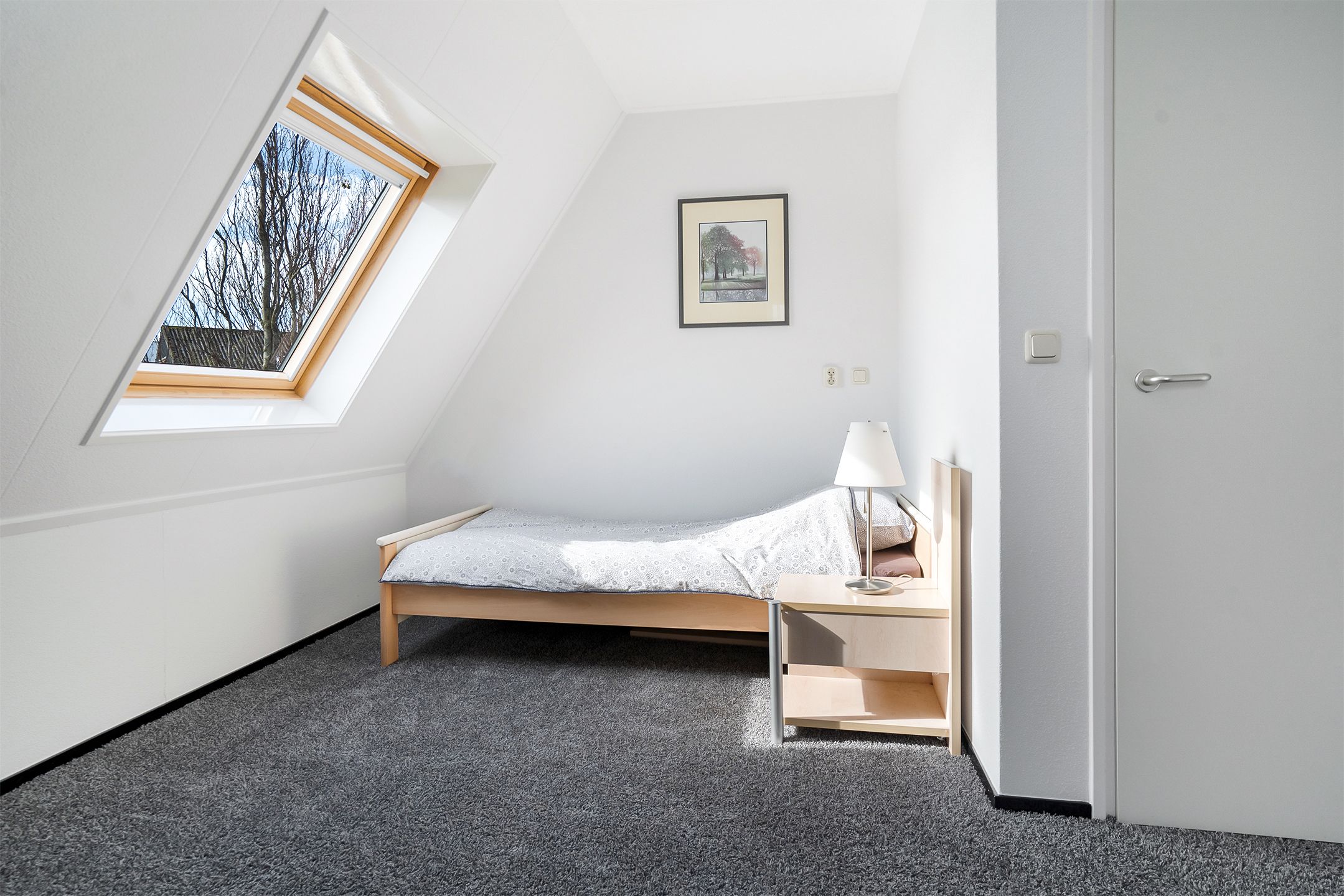 Foto 48 van Baarderbuorren 12