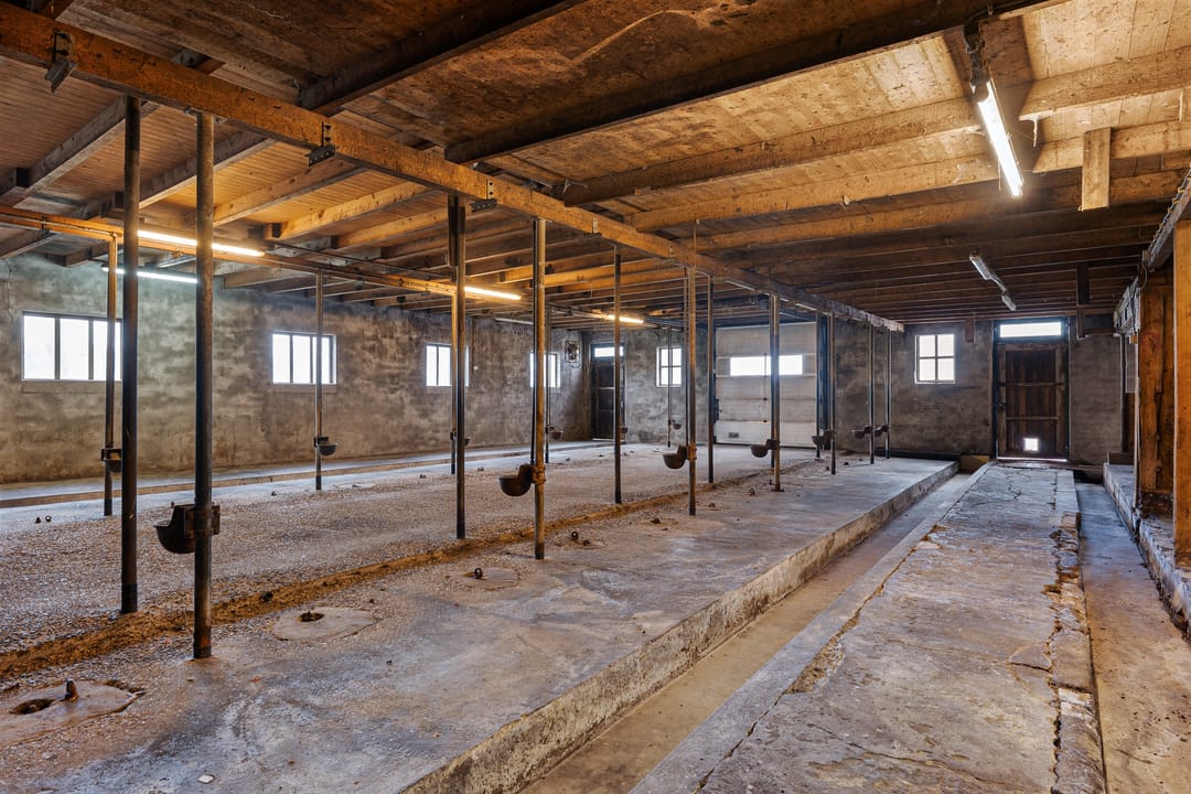 Foto 22 van Hoofdstraat 263