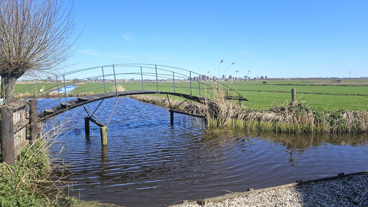 Photo 74 of J.J. Allanstraat 98