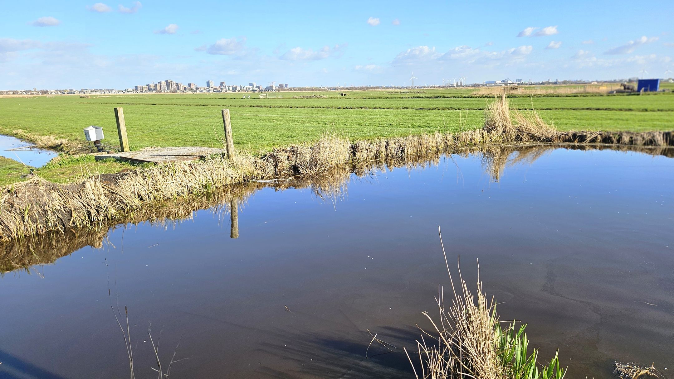 Photo 60 of J.J. Allanstraat 98