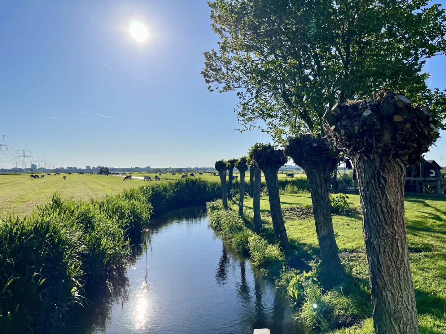 Photo 90 of J.J. Allanstraat 98