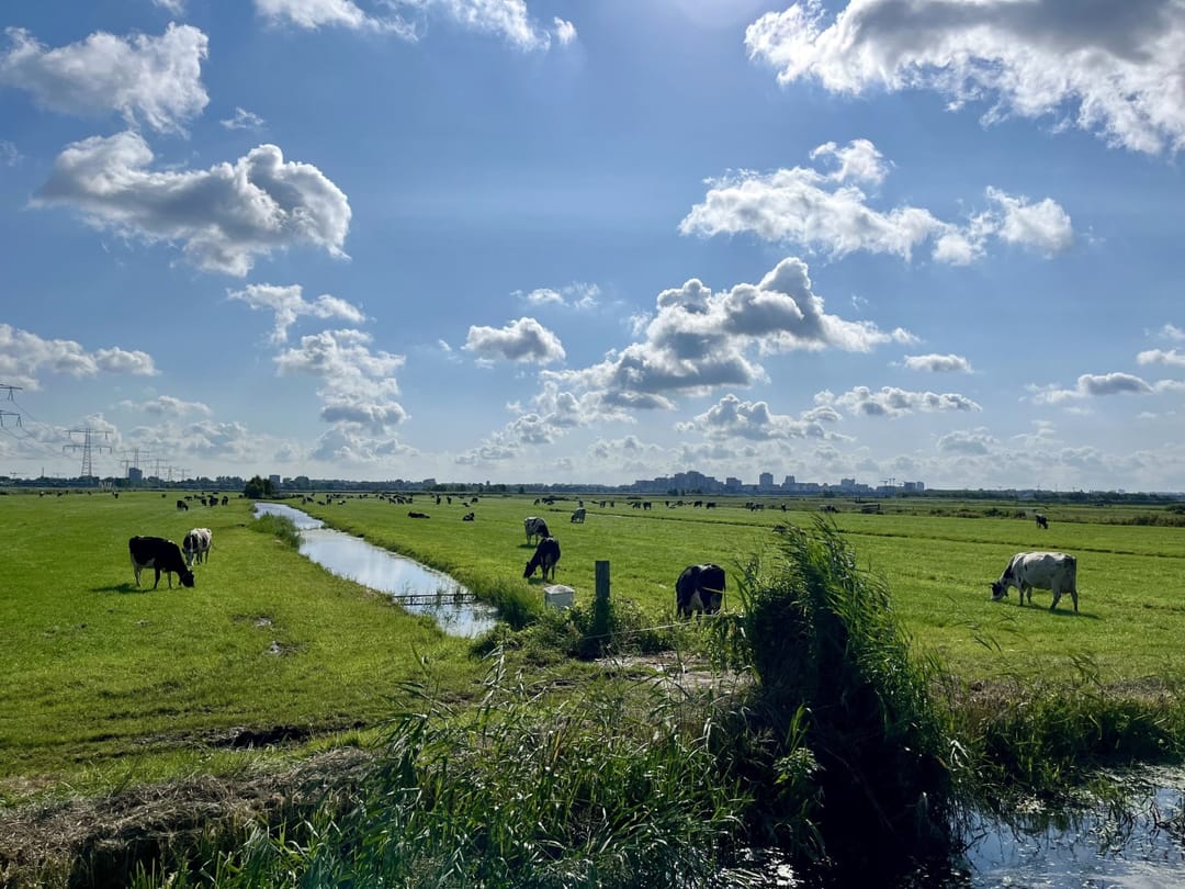 Photo 91 of J.J. Allanstraat 98