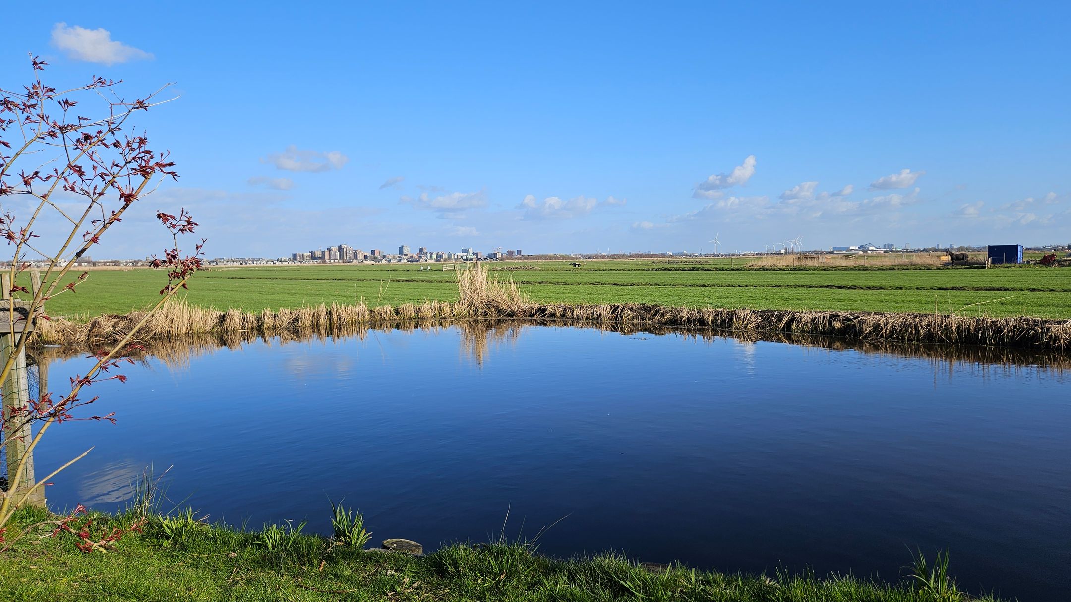 Photo 63 of J.J. Allanstraat 98