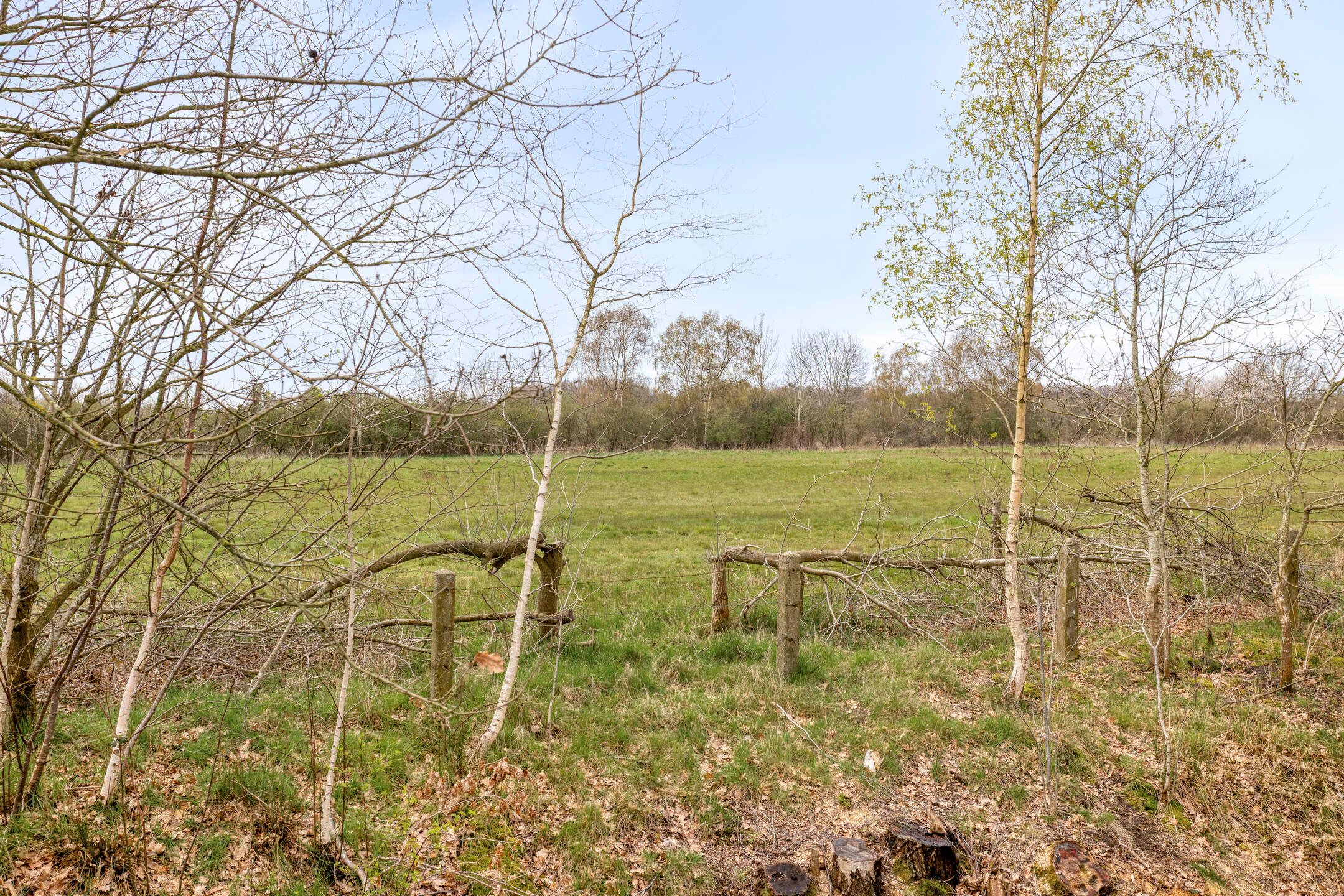 Foto 51 van Dintel 76-A