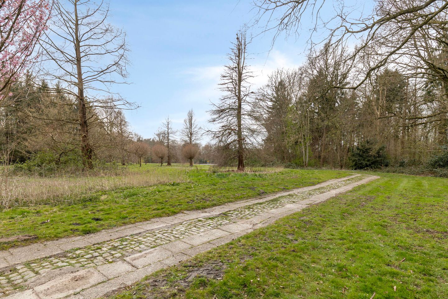 Foto 50 van Burg v Roijenstr Oost 211