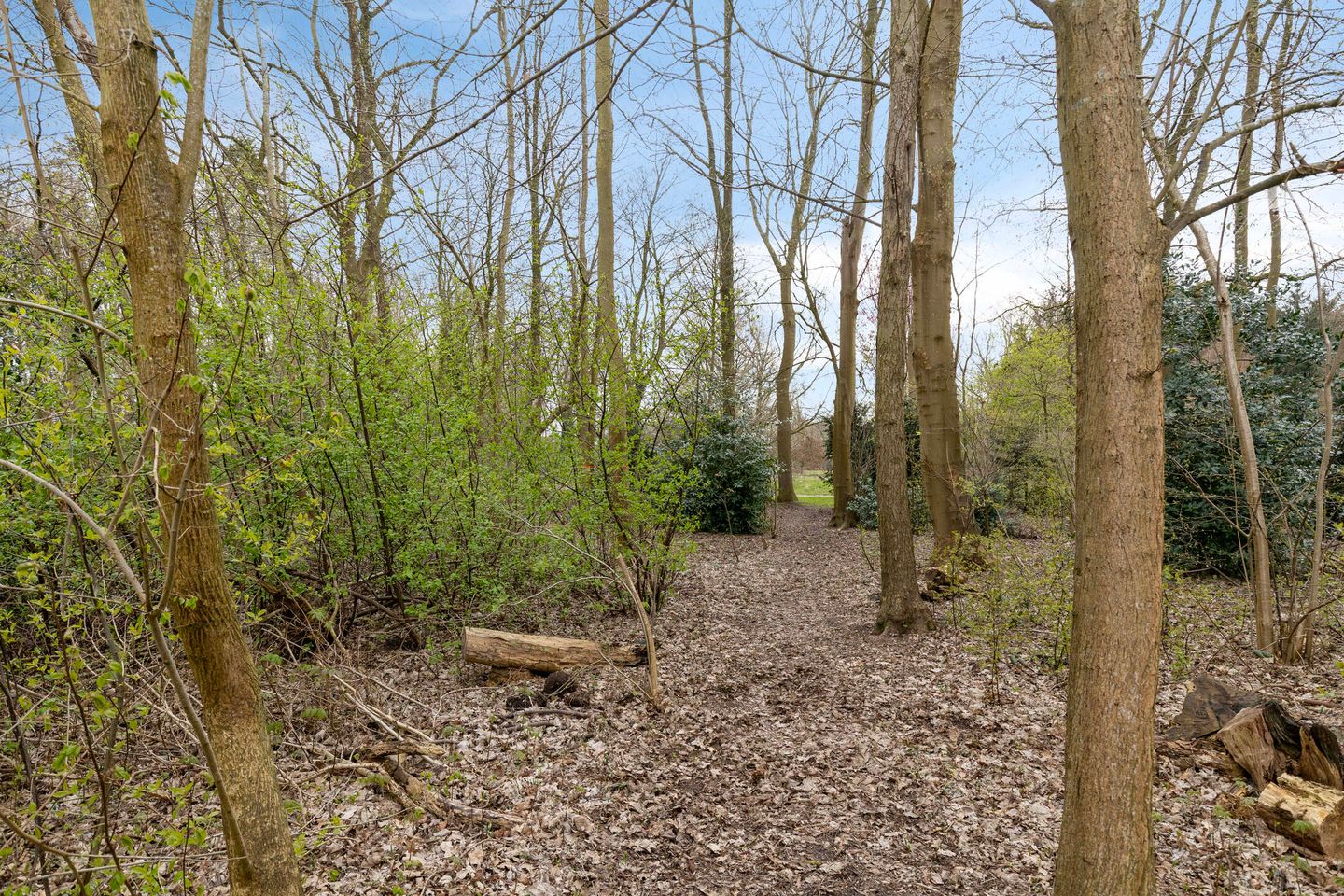 Foto 49 van Burg v Roijenstr Oost 211