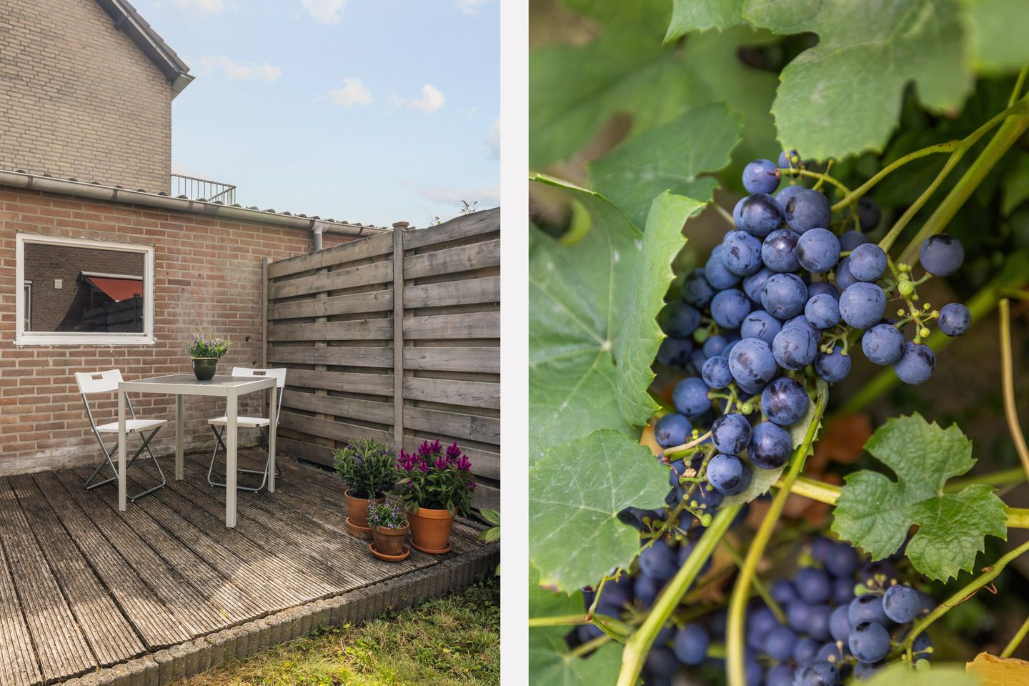 Foto 29 van Comopad 28