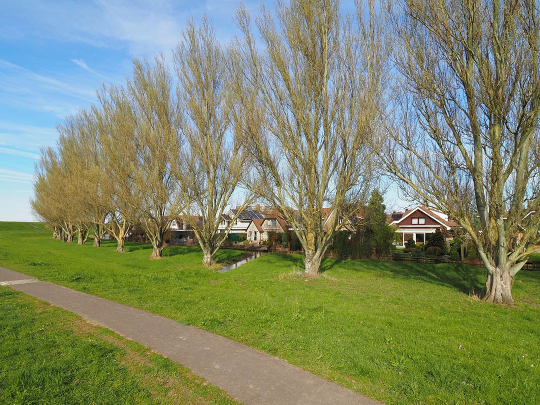 Foto 46 van Nicolaas Beetsstraat 21