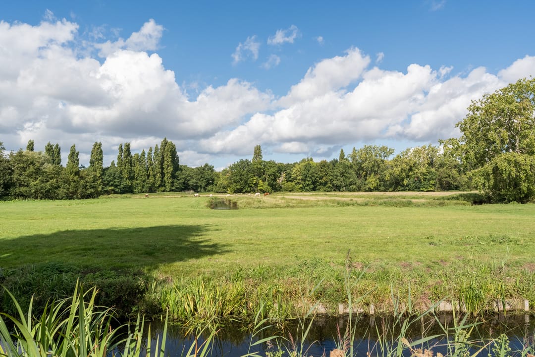 Foto 41 van Lijsterstraat 9