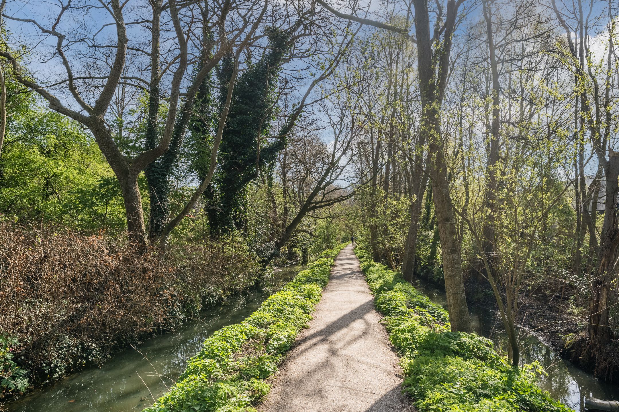 Foto 42 van Lijsterstraat 9