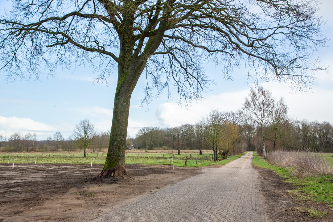 Foto 47 van Dwarsdijk 12