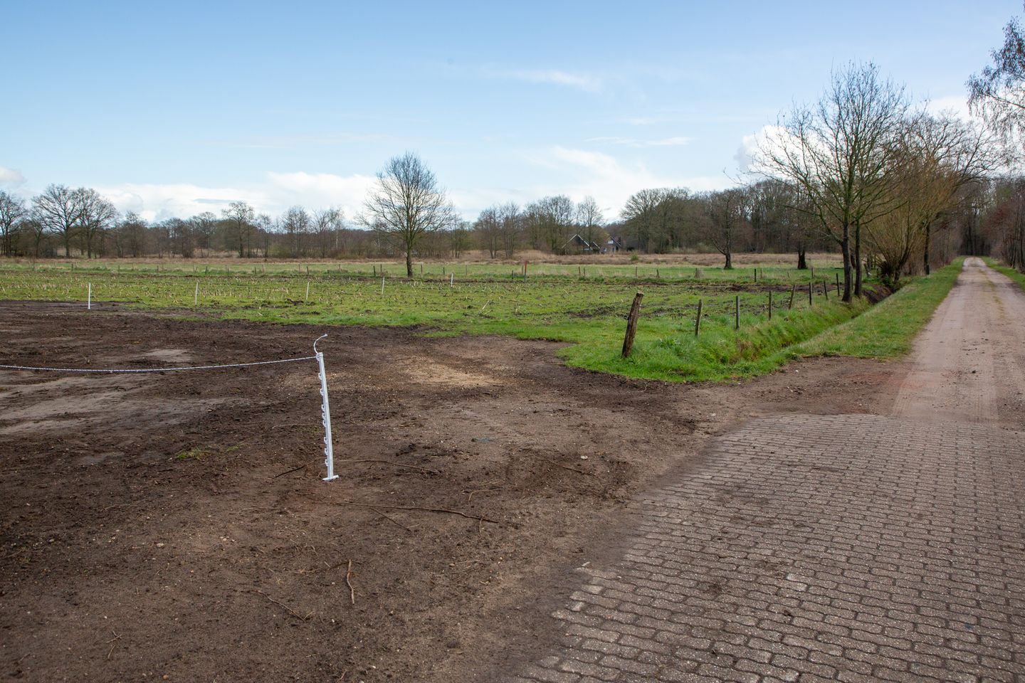 Foto 50 van Dwarsdijk 12