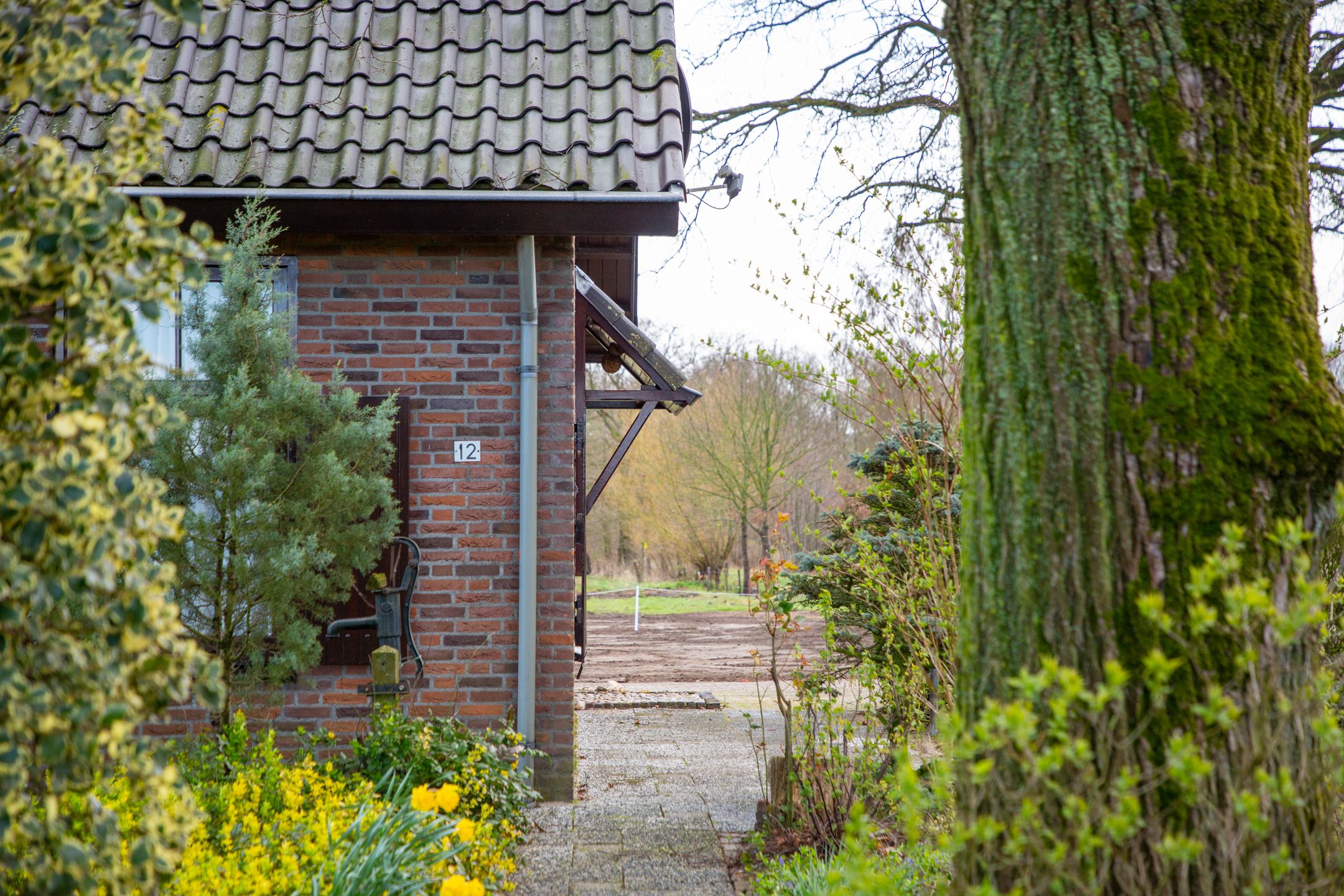 Foto 12 van Dwarsdijk 12