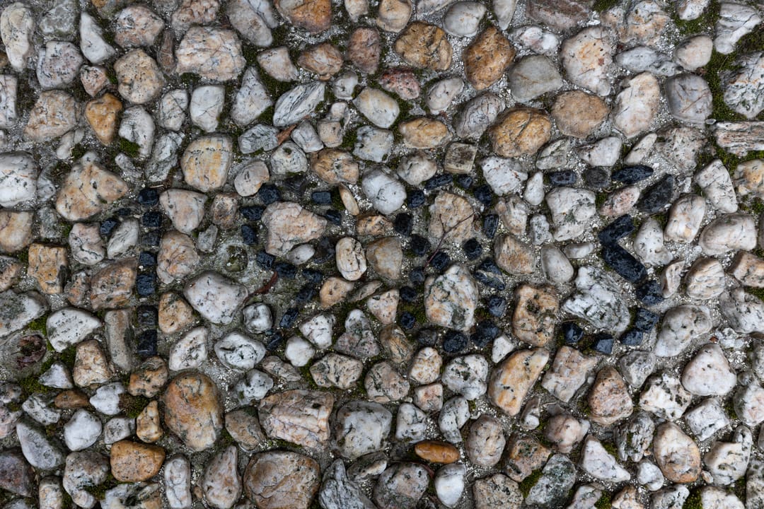 Foto 13 van Dwarsdijk 12