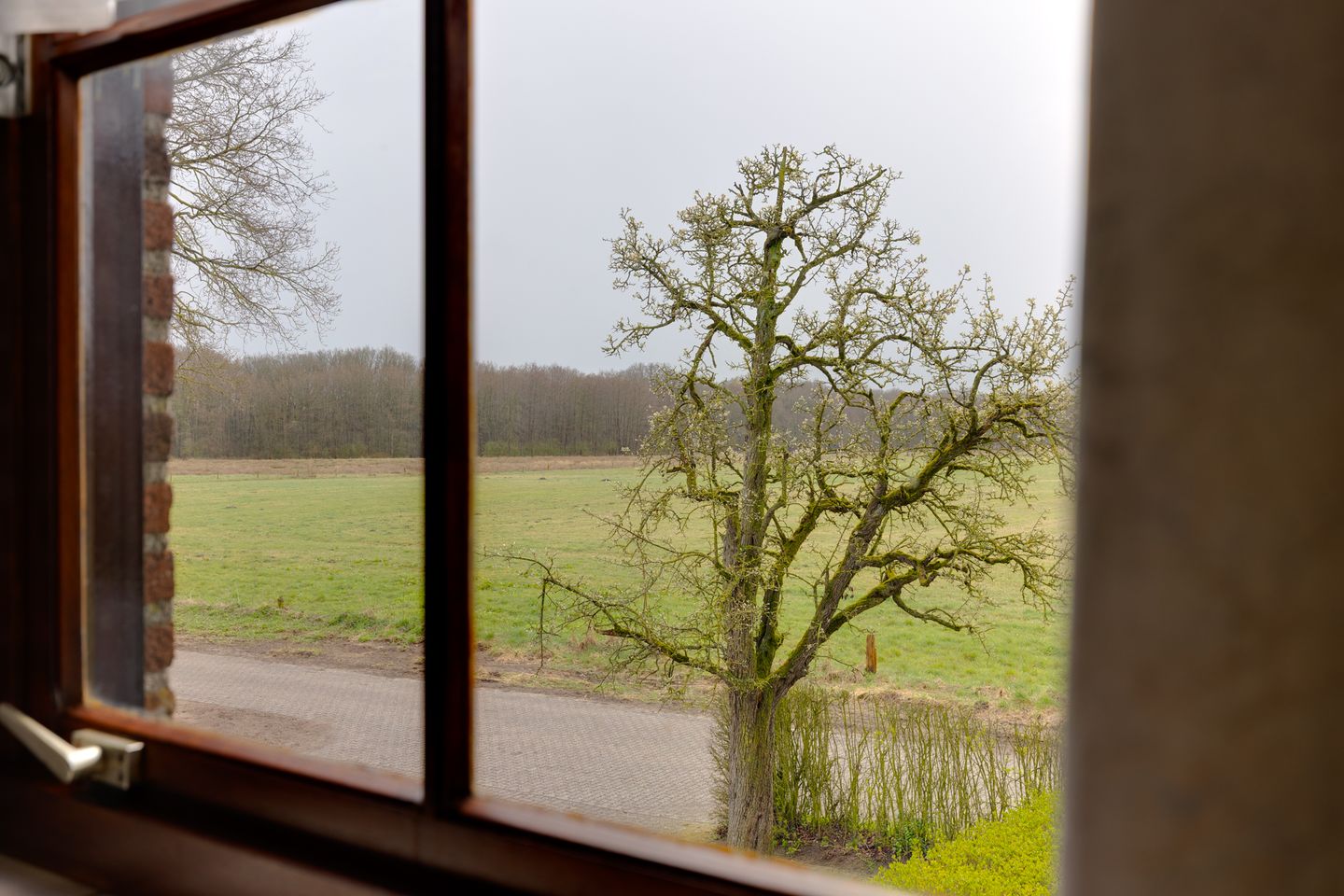 Foto 35 van Dwarsdijk 12