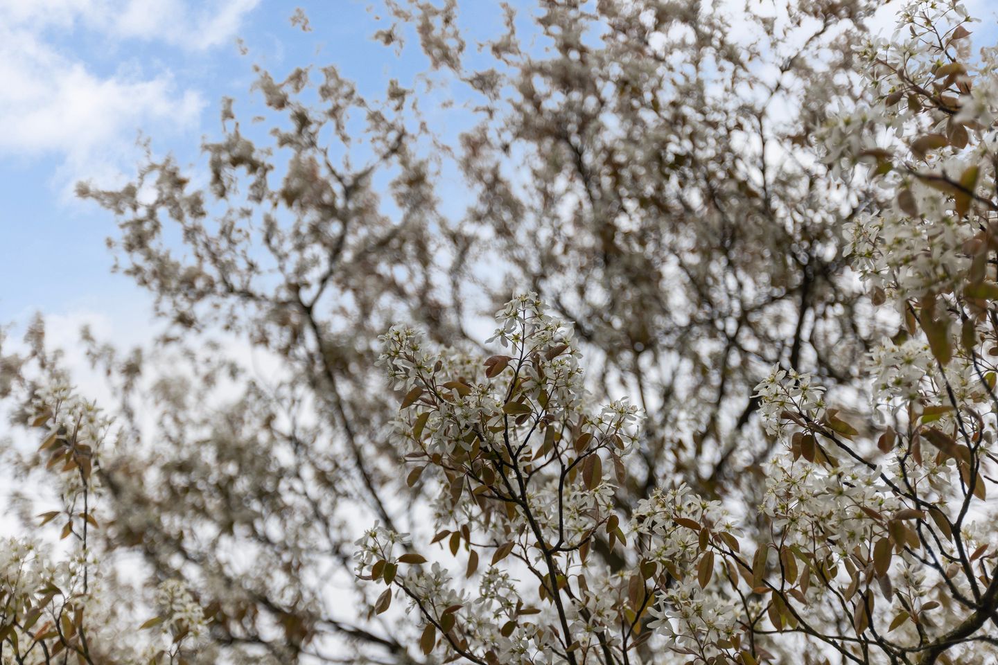 Photo 25 of Rotterdamse Rijweg 103