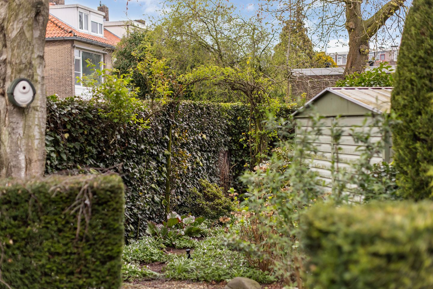 Photo 35 of Rotterdamse Rijweg 103