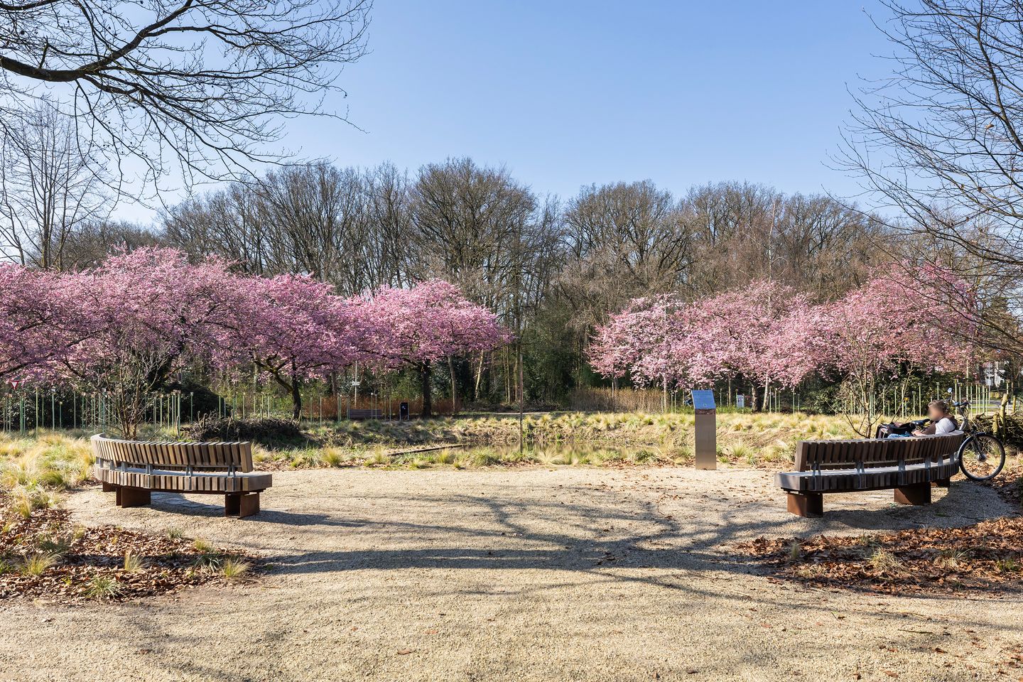 Foto 40 van Laurens Costerplein 18