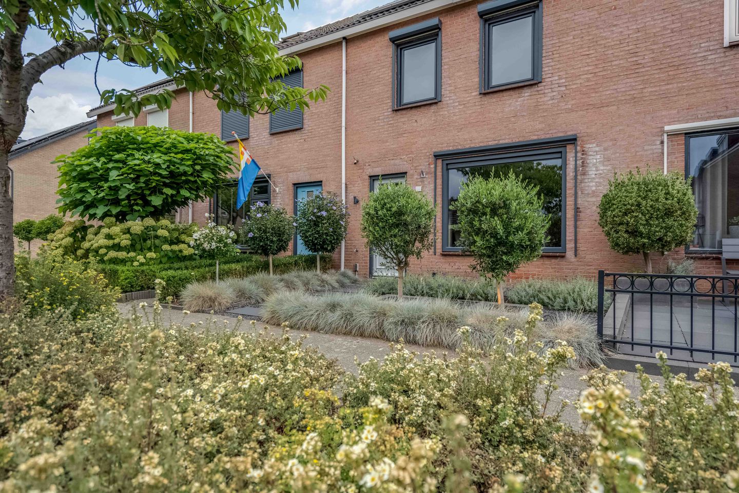 Foto 4 van Lijster 21