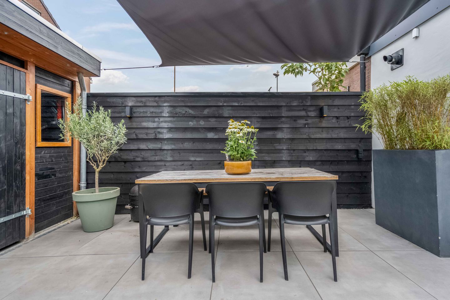 Foto 25 van Lijster 21