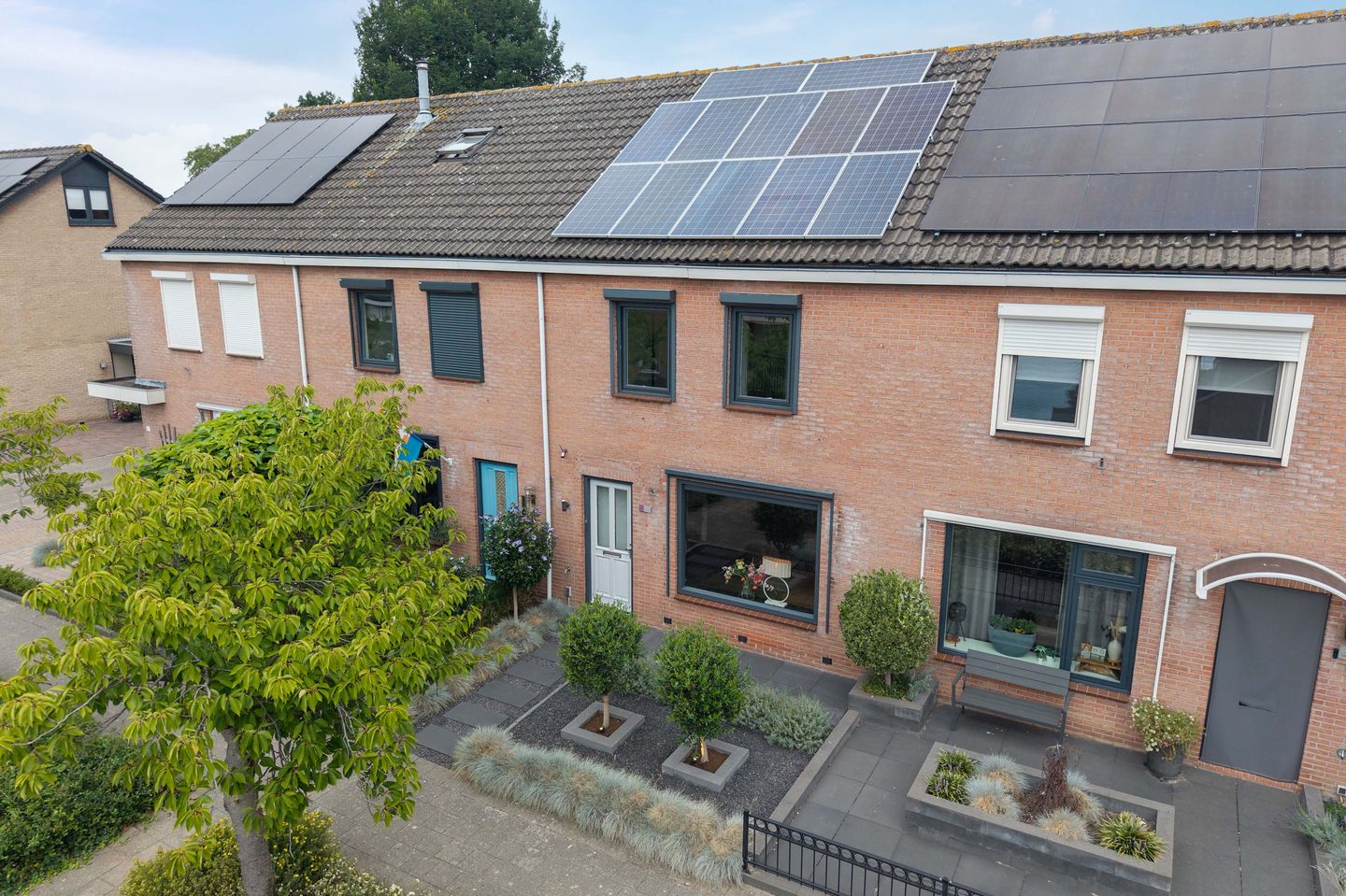 Foto 50 van Lijster 21