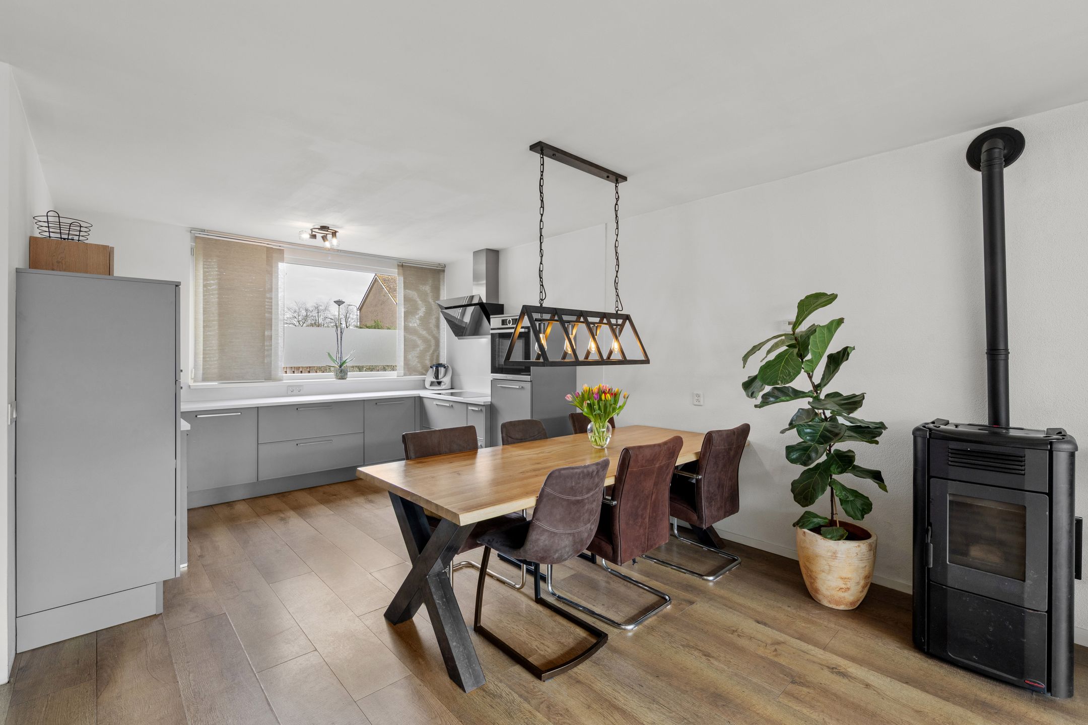 Foto 12 van Isabelladonk 45