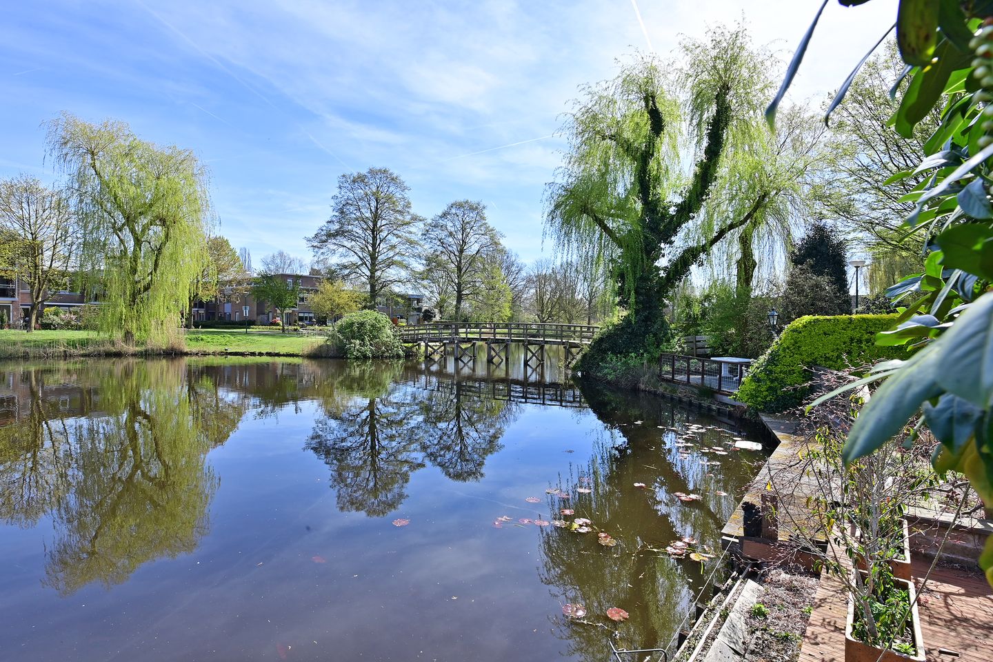 Photo 5 of Turfstreek 9