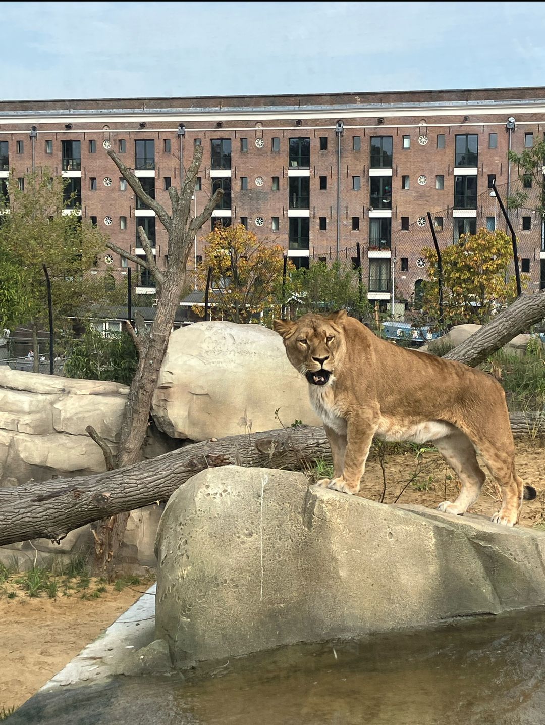 Foto 41 van Entrepotdok 92-S