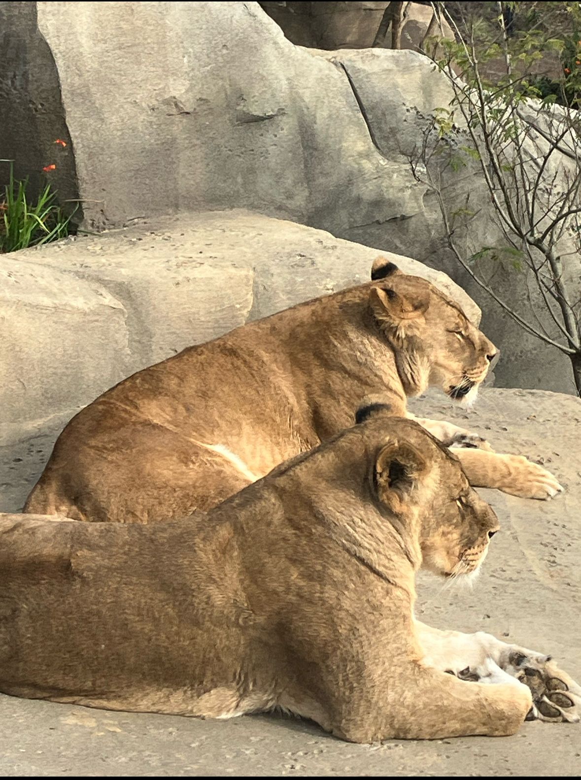 Foto 42 van Entrepotdok 92-S