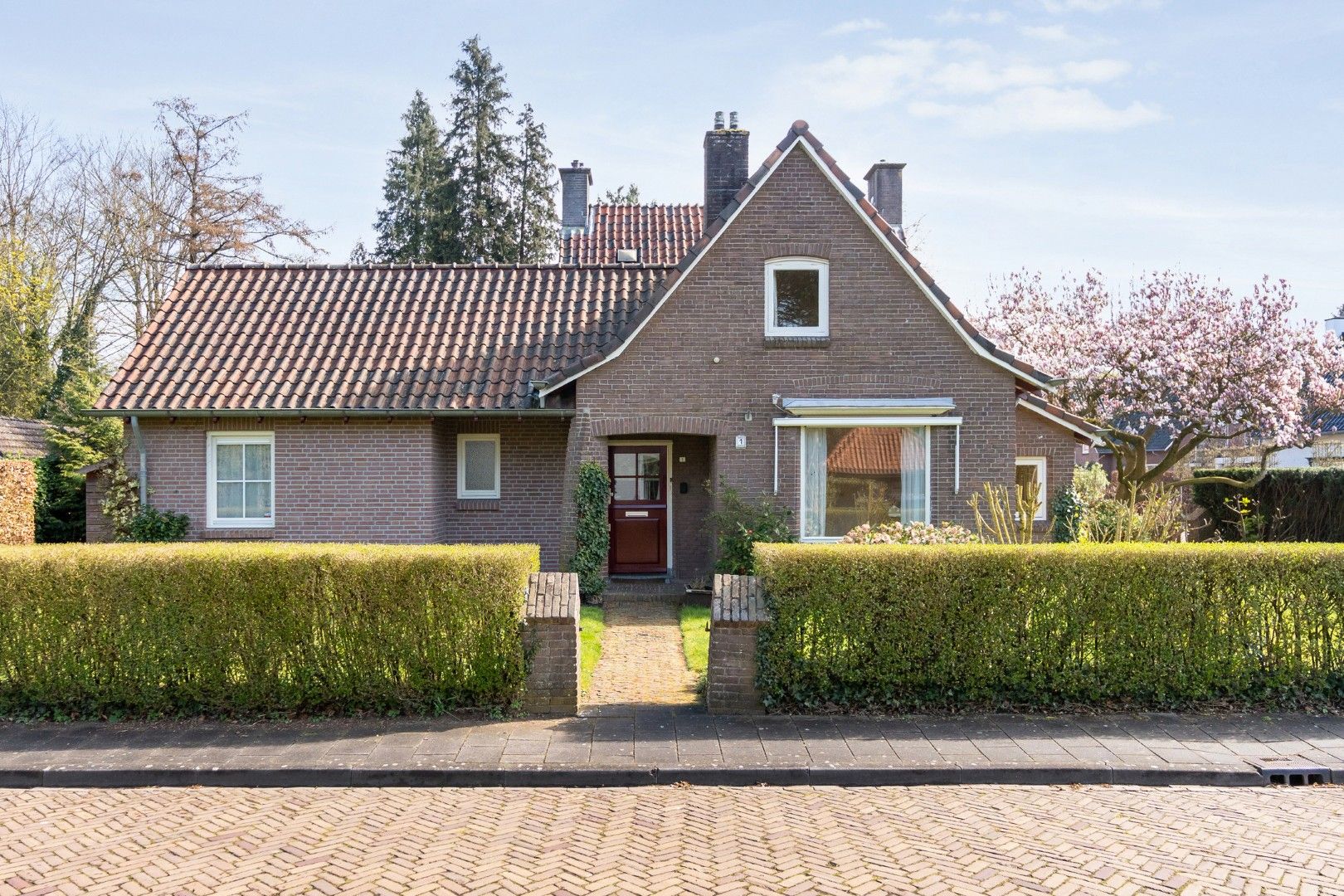 Photo 6 of Wilhelminastraat 1