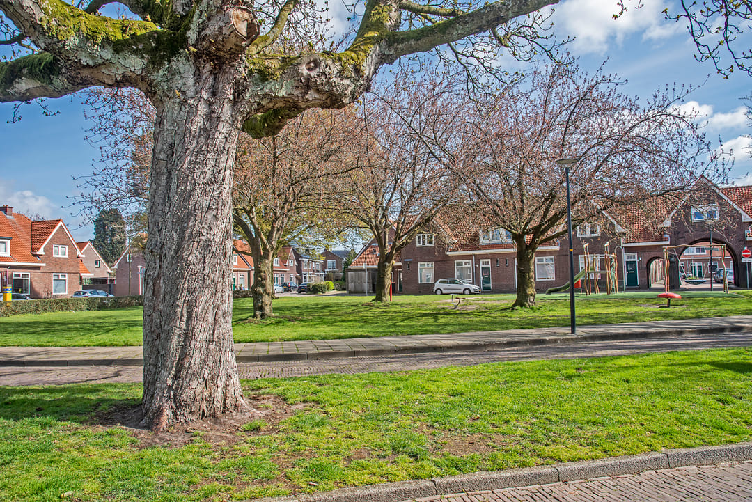 Foto 2 van Buitenzorgplein 24