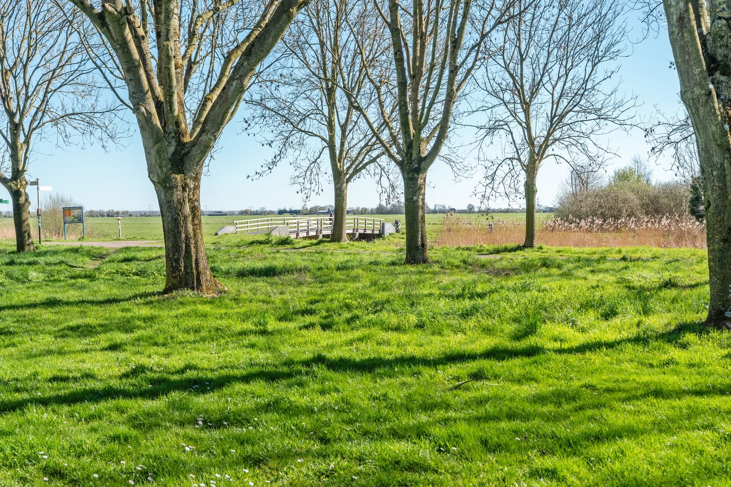 Foto 29 van Wethouder Insingerstraat 29