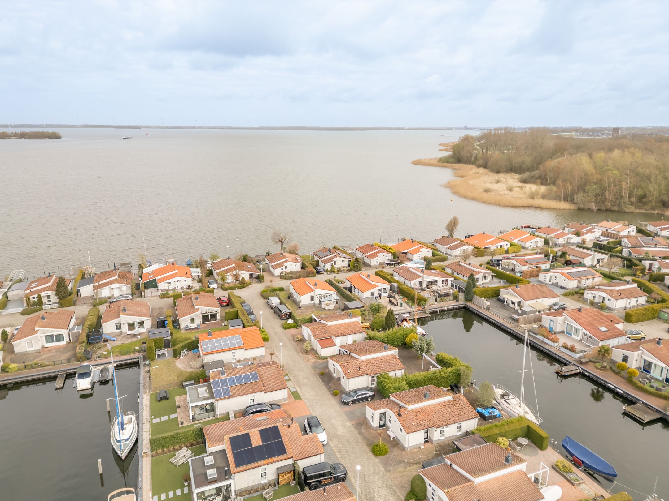 Foto 6 van Palmbosweg 12-54