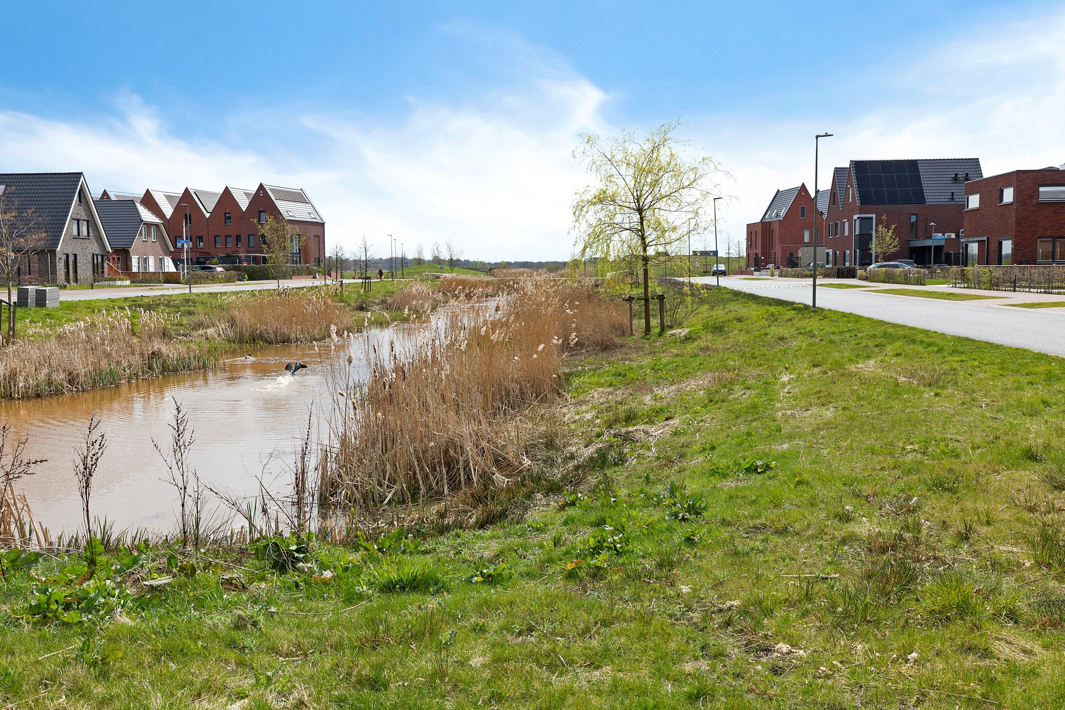 Photo 45 of Lakenvelder 47