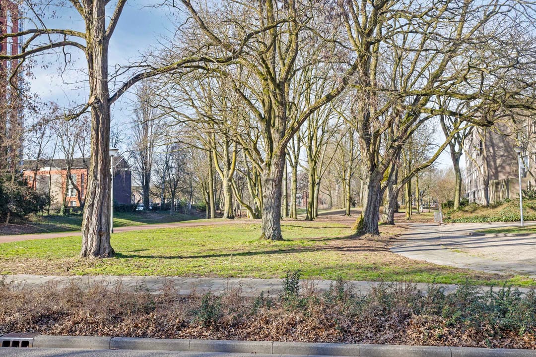 Foto 41 van Jan van Goyenlaan 14