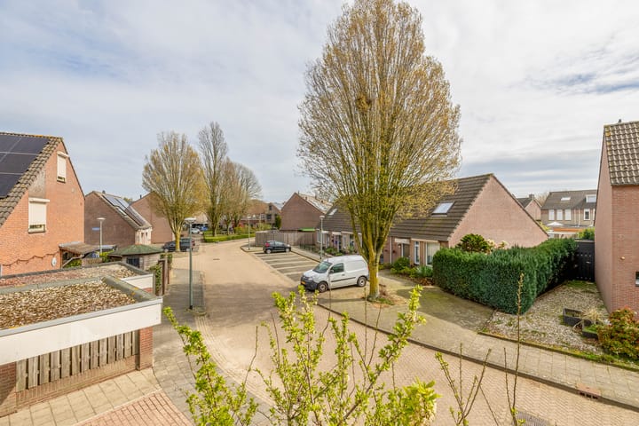 Foto 2 van Koningskaars 9