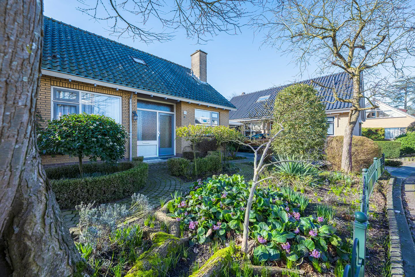 Foto 5 van Ranonkelstraat 46