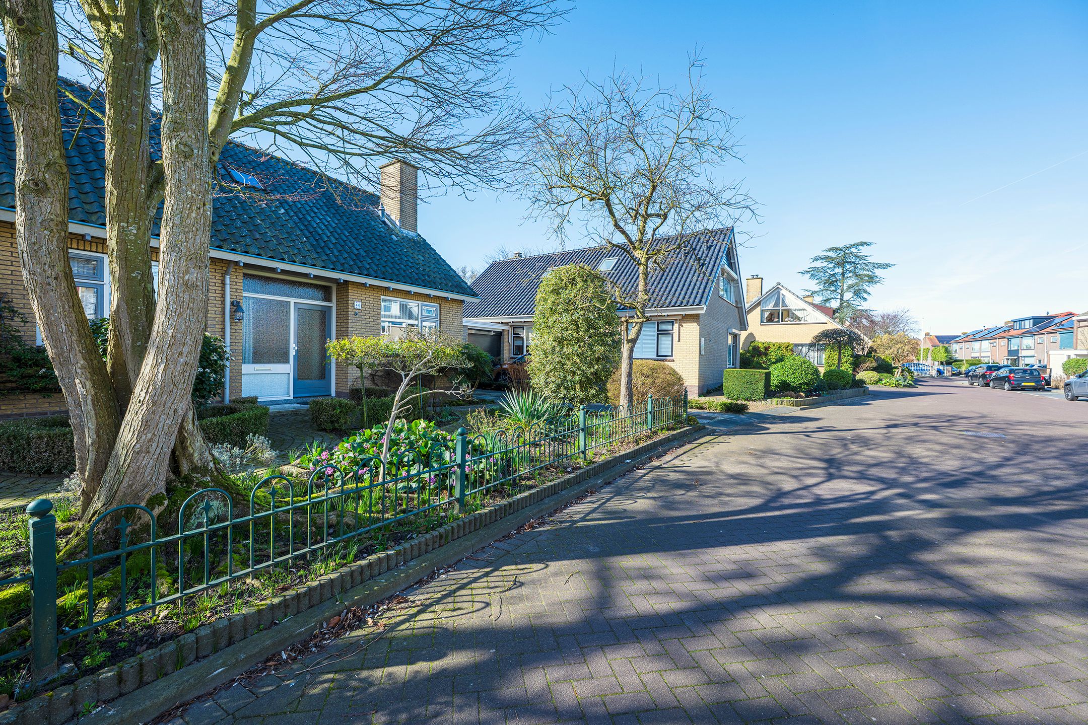 Foto 6 van Ranonkelstraat 46