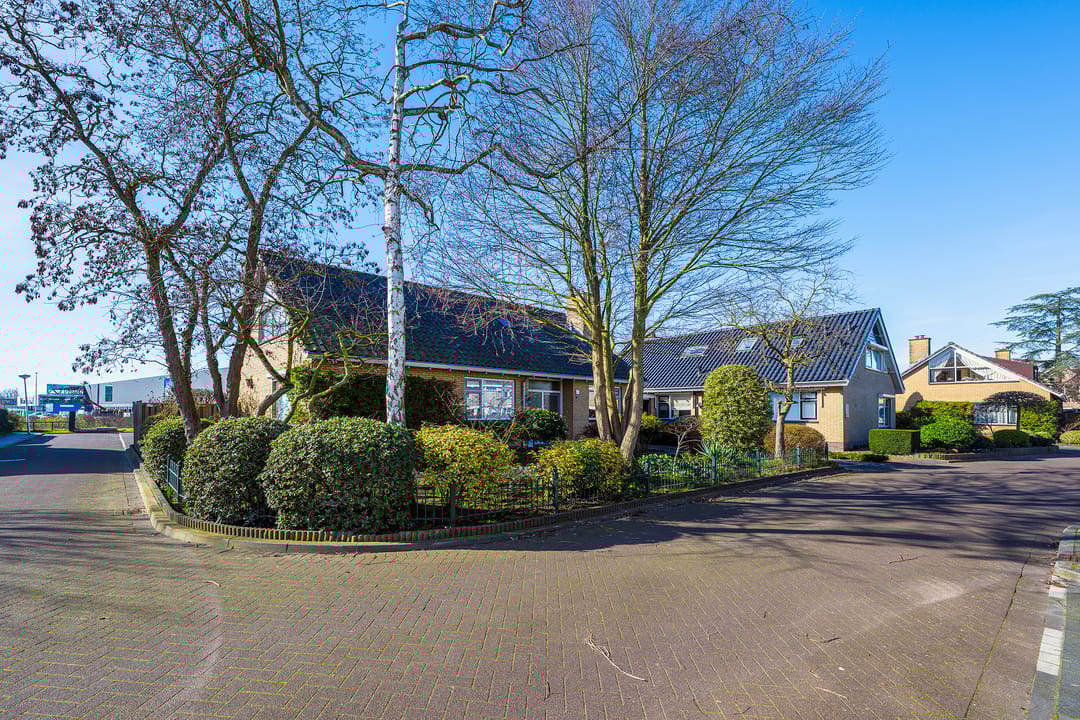 Foto 7 van Ranonkelstraat 46