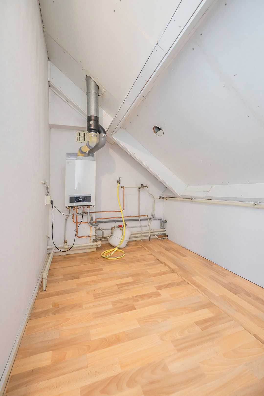 Foto 47 van Ranonkelstraat 46