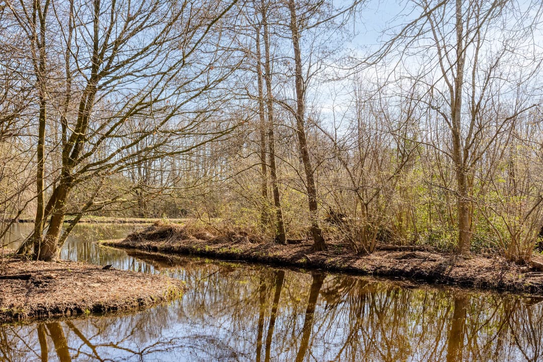 Photo 43 of Schildmeer 35