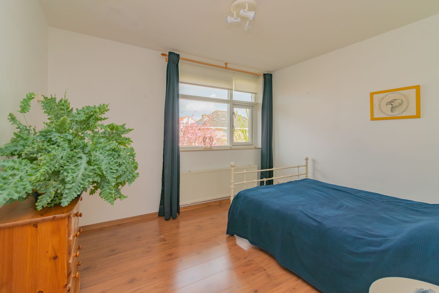 Foto 20 van Treslonglaan 19