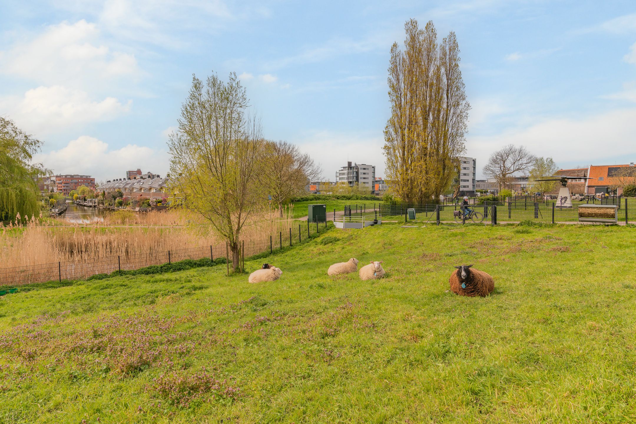 Foto 27 van Treslonglaan 19