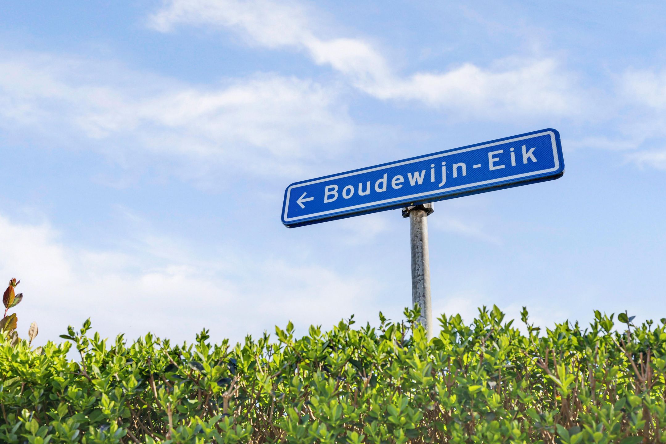Foto 9 van Boudewijn-Eik 52