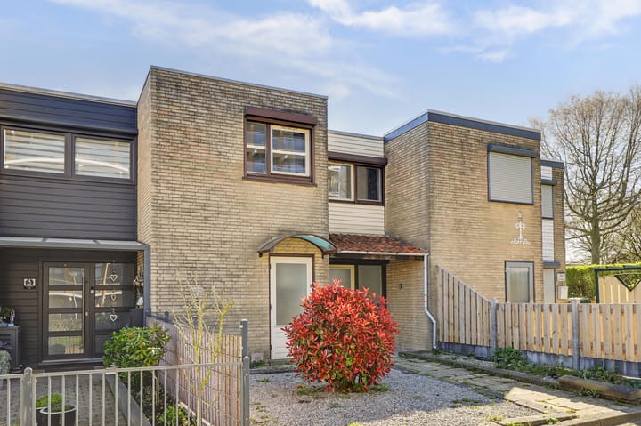 Boudewijn-Eik 52 main image