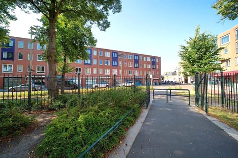 Van Miereveltstraat thumbnail