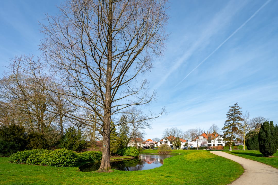 Sunny Apartment with Park Views in Zeist Center — 26